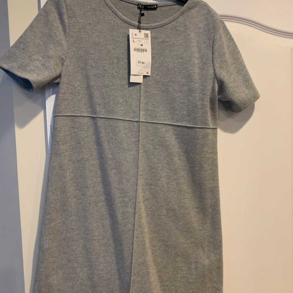 Zara dress